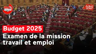 Budget 2025 : examen de la mission travail et emploi