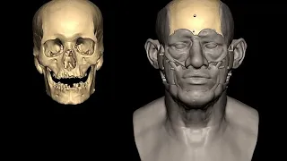 DNA analysis from 4,600-year-old skeleton uncovers hidden link between Egypt and Mesopotamia