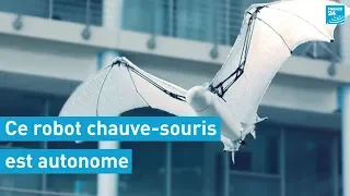 ROBOT, S.A. Ce robot chauve-souris de deux mètres d'envergure, capable de voler seul, va hanter vos nuits