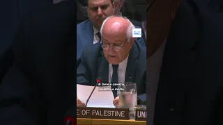 Inviato Palestina Onu accusa Israele di usare la carestia come arma