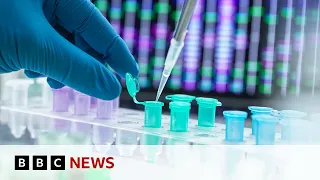 HUMAN Work begins to create artificial human DNA from scratch | BBC News