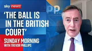 &#39;The ball is in the British court,&#39; says MEP on closer relationship with EU