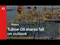 Tullow Oil shares fall on outlook 🛢️