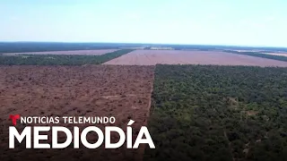Planeta Tierra: La humanidad ya se está gastando los recursos naturales de futuras generaciones