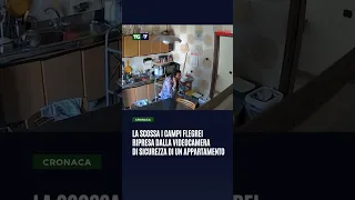 La scossa i Campi #Flegrei ripresa dalla videocamera di sicurezza di un appartamento