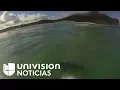 Australiano surfea por sobre un tiburón y lo graba con una GoPro