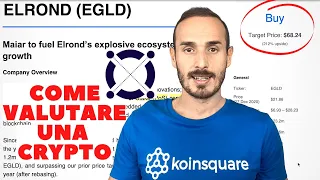 AMP Come valutare una CRYPTO 🎯 ELROND &amp; Maiar