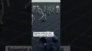 Scientist settles the viral &#39;100 men vs gorilla&#39; debate