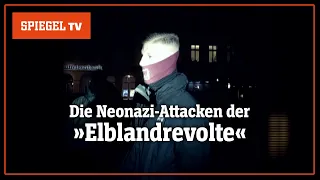 Die Neonazi-Attacken der »Elblandrevolte« | SPIEGEL TV