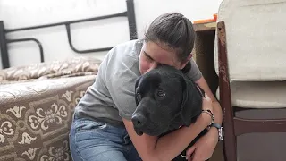 Watch: Mexico&#39;s guide dog school empowers the visually impaired