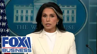 Gabbard releases &#39;irrefutable evidence&#39; Obama conspired to subvert will of American people