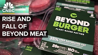 Why Beyond Meat and the plant-based meat industry couldn&#39;t live up to the hype