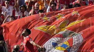 BENFICA Benfica and Bayern grasp league titles in nail-biting final match day