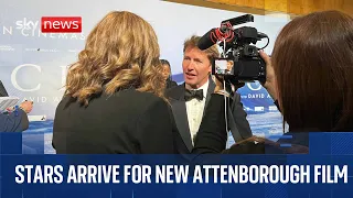 Stars arrive for world premiere of David Attenborough’s new film Ocean