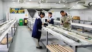 Uzbekistan taps rare materials with greener methods to support global supply chains
