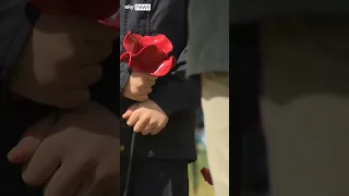 Queen lays poppy at Tower of London