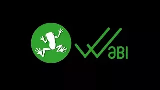 WABI [Focus anti-contrefaçons (1/2)] La crypto Wabi