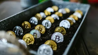 BITCOIN L&#39;édito crypto : ETF Bitcoin, 2,2 milliards de dollars de collecte en une semaine