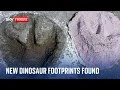 UK's biggest ever dinosaur footprint site found in Oxfordshire quarry