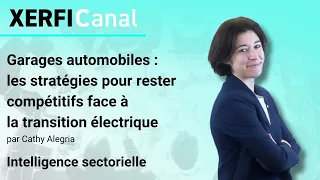 TRANSITION SHARES Garages automobiles : stratégies pour rester compétitifs face à la transition électrique [C.Alegria]