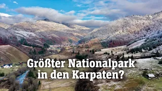 Größter Nationalpark in den Karpaten?: Der Yellowstone Europas | SPIEGEL TV für ARTE Re: