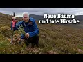 HIGHLANDS BANCORP - Die Aufforstung der schottischen Highlands | SPIEGEL TV für ARTE Re: