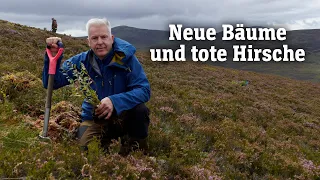 HIGHLANDS BANCORP Die Aufforstung der schottischen Highlands | SPIEGEL TV für ARTE Re: