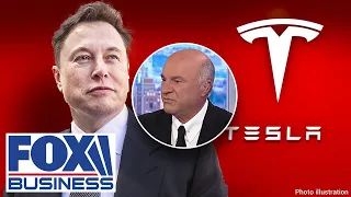 TESLA INC. Tesla was one of the most successful investments ever: O&#39;Leary