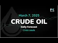 Crude Oil Price Forecast Today , Technical Analysis (March 07): WTI, Brent Attempt to Rally