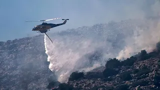 Grèce : un immense feu de forêt ravage la région de Corinthe, deux suspects arrêtés