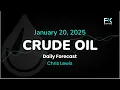 Crude Oil Price Forecast Today , Technical Analysis (January 20): WTI and Brent Take a Nosedive