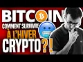 BITCOIN : Comment survivre à l’hiver crypto ?