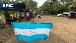 Campesinos piden al Gobierno hondureño intervenir ante nuevo conflicto de tierras