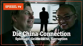 Die China-Connection: Ermittlungen gegen AfD-Politiker Maximilian Krah | SPIEGEL TV