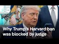 Judge blocks Trump's ban on Harvard enrolling foreign students | DW News
