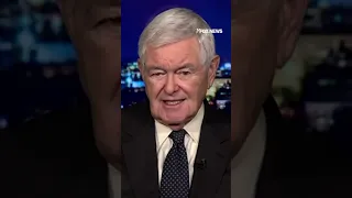 Newt Gingrich slams &#39;radical&#39; judges interfering with Trump&#39;s agenda