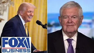 KEY This was the key to the next three years of the Trump administration: Newt Gingrich