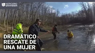 El momento en que una mujer y sus perros son rescatados tras caer a un arroyo parcialmente congelado