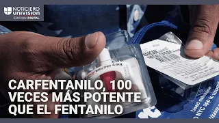 Primera muerte en California por sobredosis de carfentanilo, droga usada como sedante para elefantes