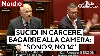 Suicidi in carcere, scontro Nordio-Azione: &quot;Sono 9&quot;, &quot;No, sono 14&quot;. La bagarre alla camera