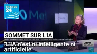 Sommet mondial sur l&#39;IA à Paris : &quot;L&#39;IA n&#39;est ni intelligente ni artificielle&quot; • FRANCE 24