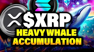RIPPLE Why Are Crypto Whales Buying Ripple XRP?