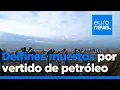 Al menos 30 delfines han muerto tras el vertido de petróleo en el estrecho de Kerch, en el sur …