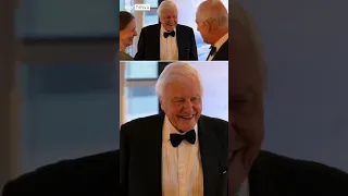 King Charles jokes with David Attenborough