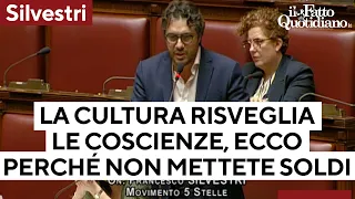 Silvestri: &quot;Sulla cultura non mettete una lira perché risveglia le coscienze&quot;