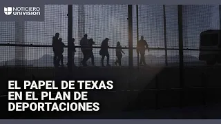 ¿Qué impacto tiene el apoyo de Texas al plan de deportaciones masivas de Trump? Esto dice un experto