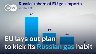 ENERGY EU energy chief vows ban on all Russian gas imports by 2028 | DW News