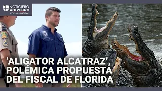 Polémica en Florida: fiscal propone construir centro de detención de inmigrantes rodeado de caimanes