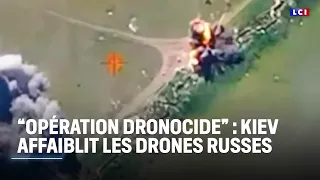 Opération &quot;dronocide&quot; : les actions secrètes de l&#39;Ukraine contre les drones russes｜LCI