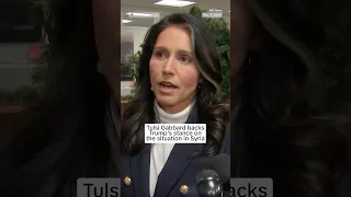 Tulsi Gabbard backs Trump&#39;s stance on the situation in Syria